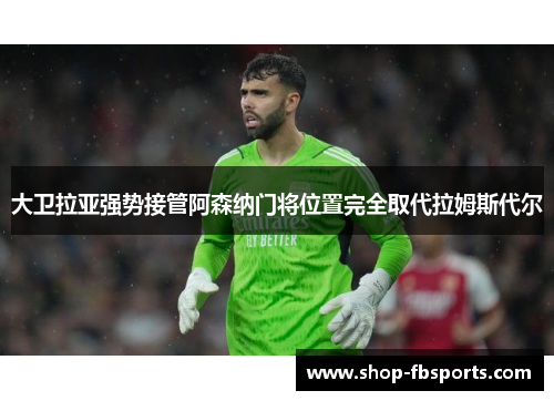 大卫拉亚强势接管阿森纳门将位置完全取代拉姆斯代尔 大卫拉亚强势接管阿森纳门将位置完全取代拉姆斯代尔