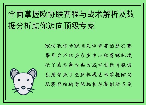 全面掌握欧协联赛程与战术解析及数据分析助你迈向顶级专家 全面掌握欧协联赛程与战术解析及数据分析助你迈向顶级专家