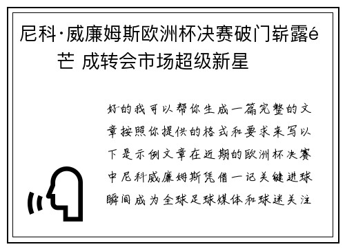 尼科·威廉姆斯欧洲杯决赛破门崭露锋芒 成转会市场超级新星 尼科·威廉姆斯欧洲杯决赛破门崭露锋芒 成转会市场超级新星